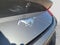 2024 Ford Mustang EcoBoost Premium Fastback