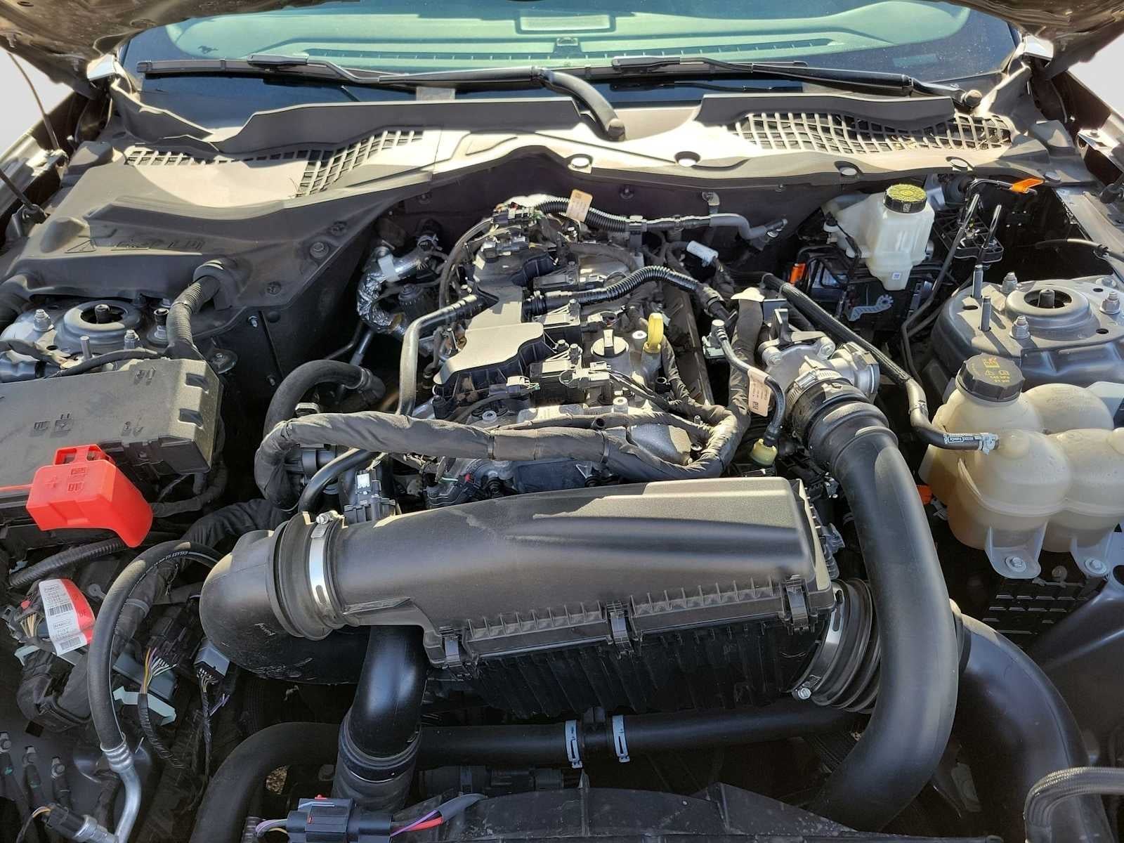 2024 Ford Mustang EcoBoost Premium Fastback